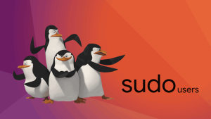 Sudo users