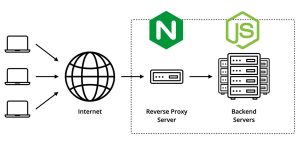 Настройка Nginx