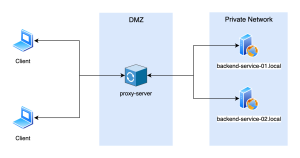 История Nginx Proxy Manager